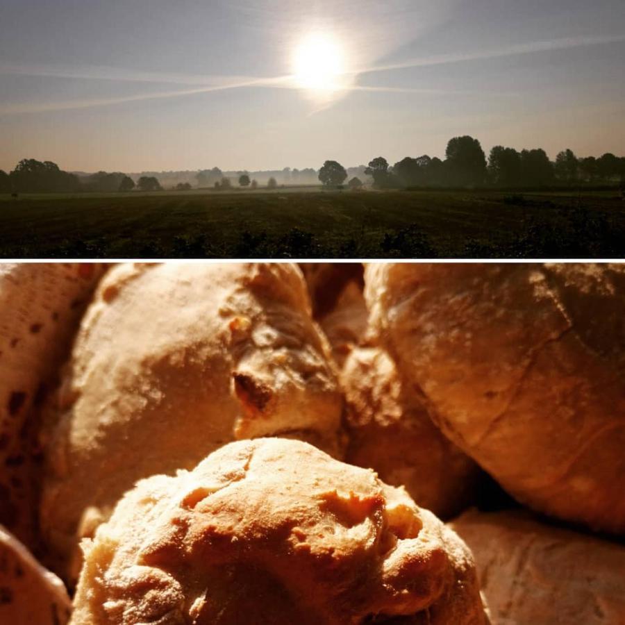Arroeds Bostaelle Bed and Breakfast Tollarp Εξωτερικό φωτογραφία